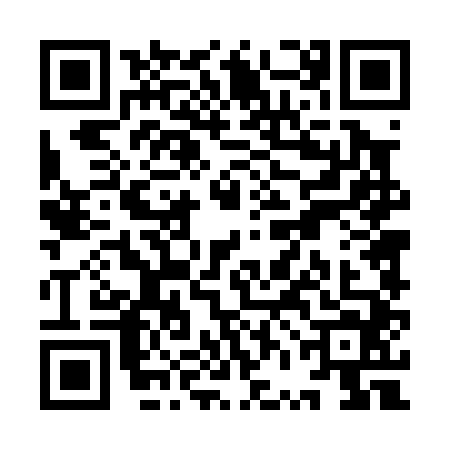 QR code for YVD0447