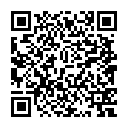 QR code for YVL4729