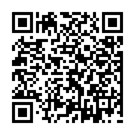 QR code for YVS3950