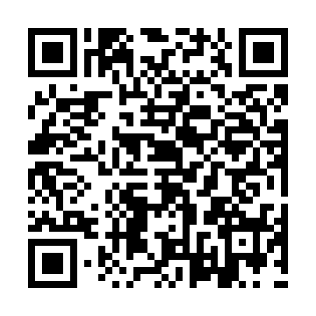 QR code for YVZ6381