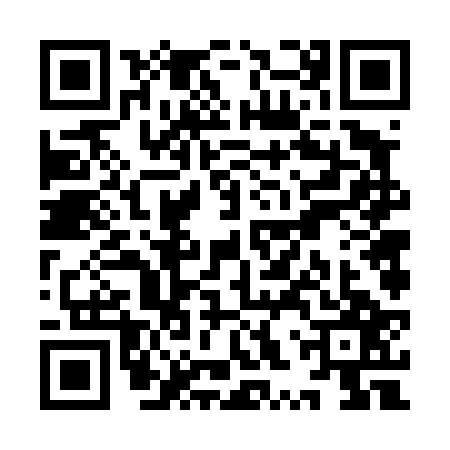 QR code for YXV4273