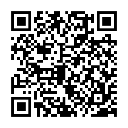 QR code for YXW2161
