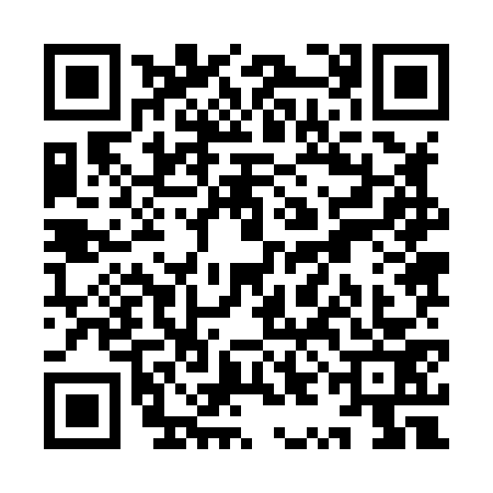 QR code for YYJ8738