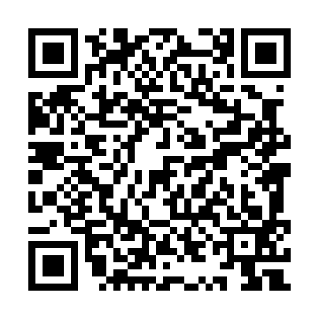 QR code for YYL0930