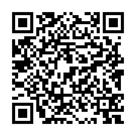 QR code for YYL1333