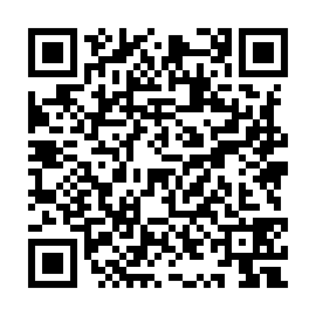 QR code for YYM9384
