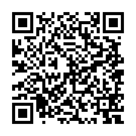 QR code for YYZ4998