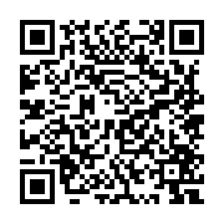 QR code for YYZ9473