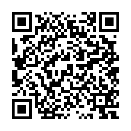 QR code for YZB0133