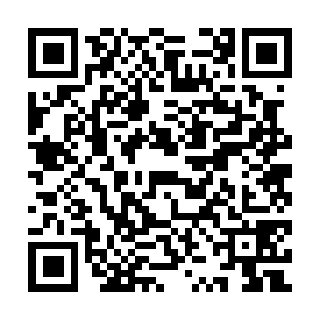 QR code for YZB0781