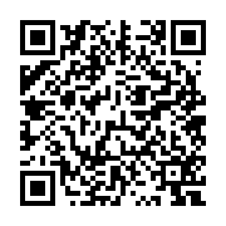QR code for YZB2161