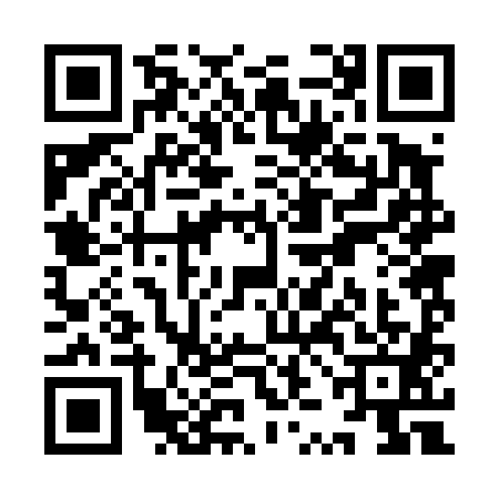 QR code for YZB4817