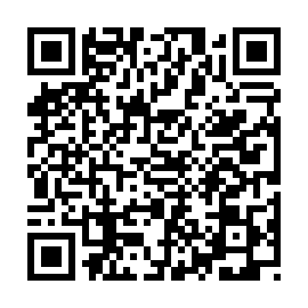 QR code for YZD0091