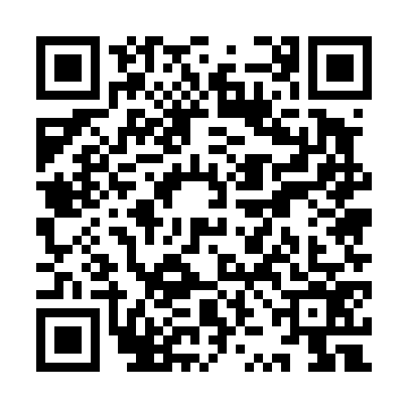 QR code for YZE4767