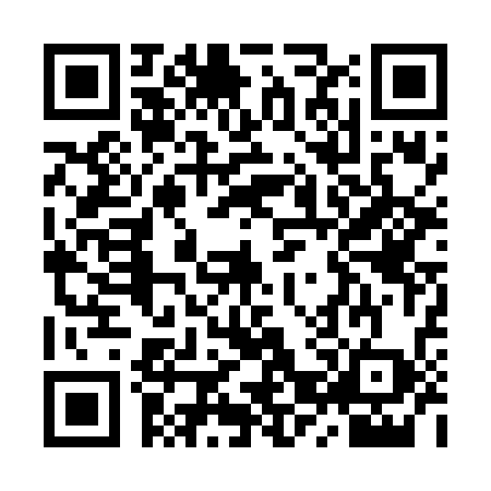 QR code for YZP6381
