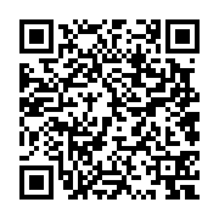 QR code for YZV0307