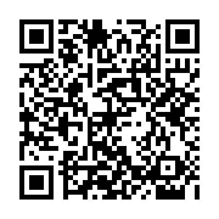 QR code for YZV2983