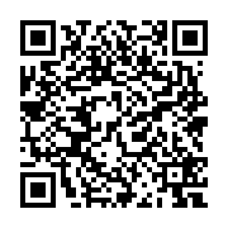 QR code for ZBM6295