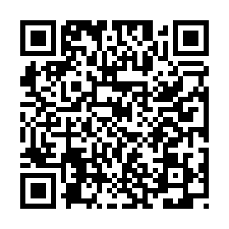QR code for ZBN0295