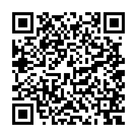 QR code for ZDG0419