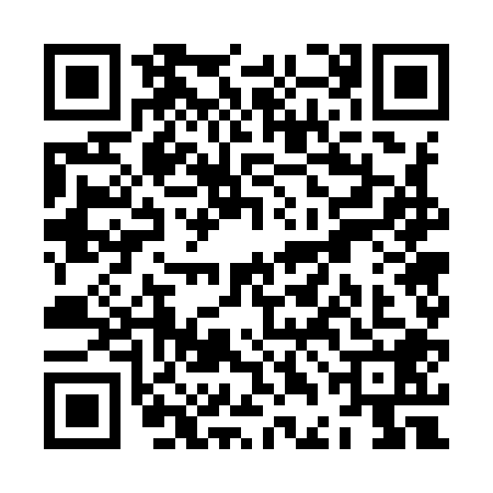 QR code for ZDG9080