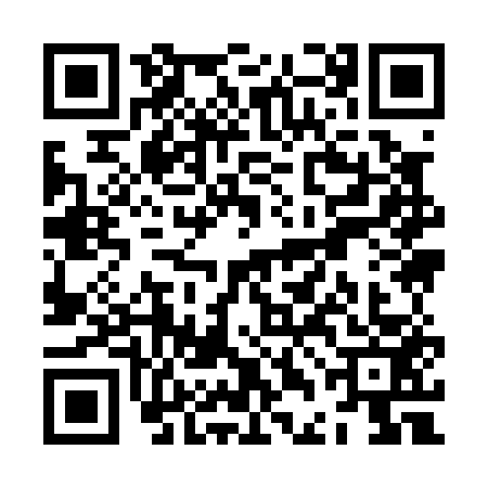 QR code for ZDI0539