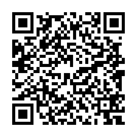 QR code for ZDL0199