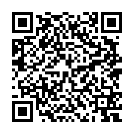 QR code for ZDM4603