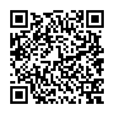 QR code for ZDN4315