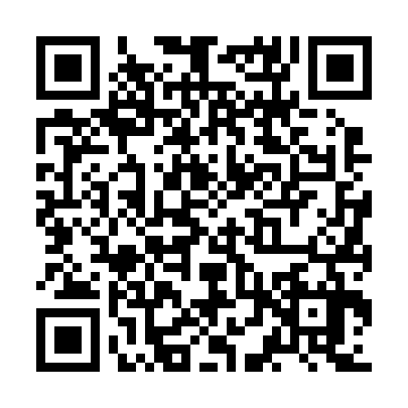 QR code for ZDV2374