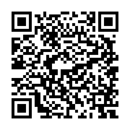 QR code for ZDZ4866