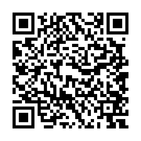 QR code for ZFD0433