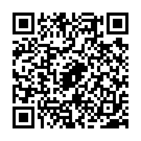 QR code for ZFM6133