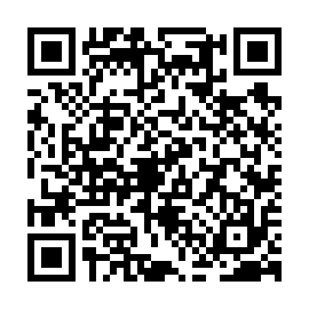 QR code for ZFV6173