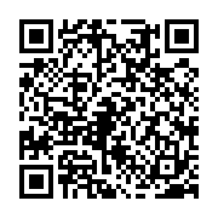 QR code for ZFX5333