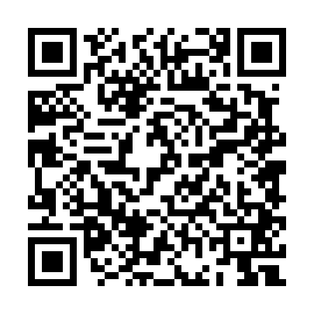 QR code for ZGD4411