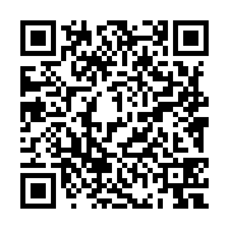 QR code for ZGL9383