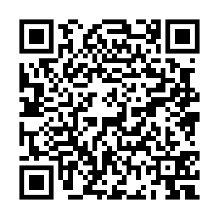 QR code for ZGX0311