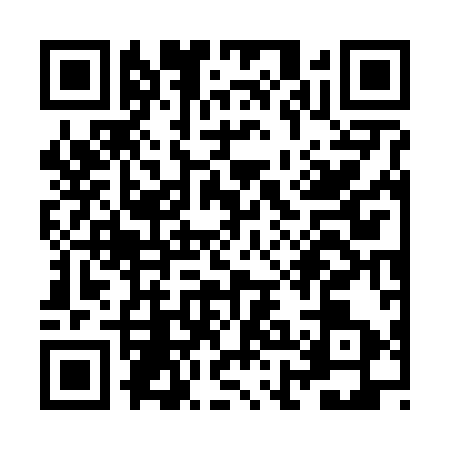 QR code for ZHG6938