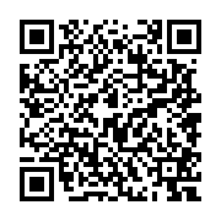 QR code for ZHN5017