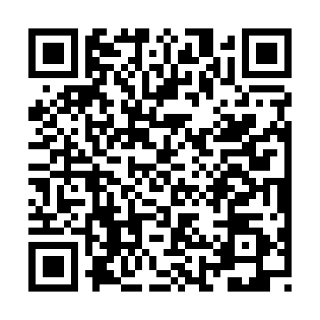 QR code for ZHS1101