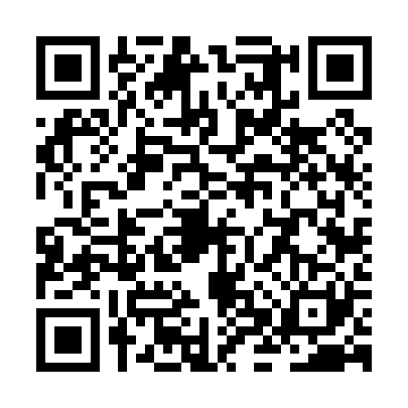 QR code for ZHV0213