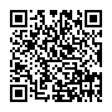 QR code for ZII0990