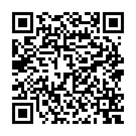 QR code for ZII2654