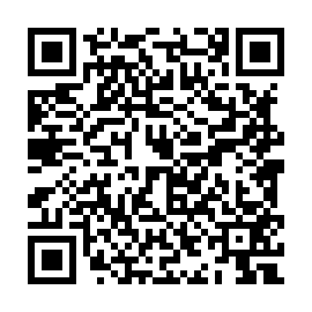 QR code for ZIL8539