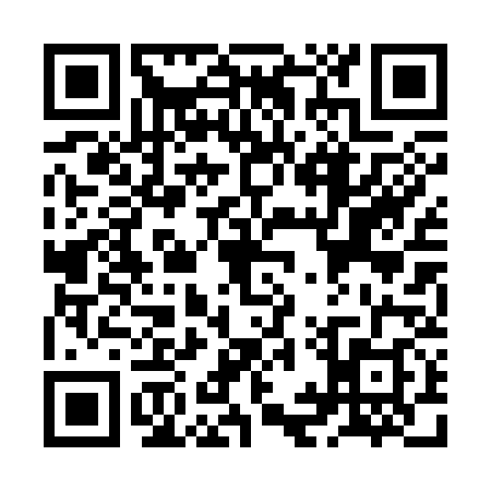 QR code for ZIP3383