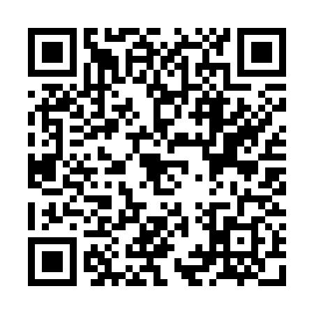 QR code for ZIY3384