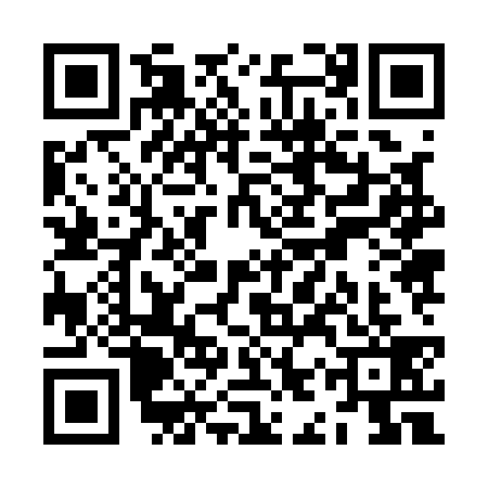 QR code for ZIZ1398
