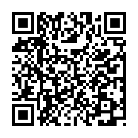 QR code for ZJB4313