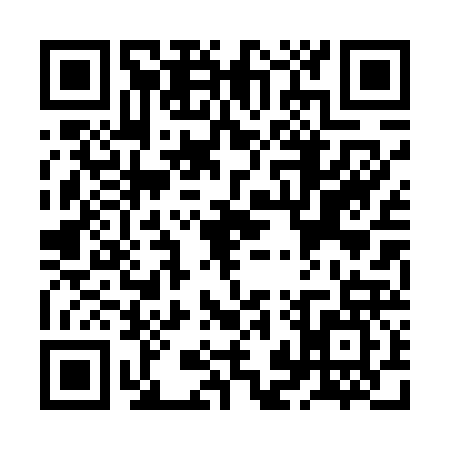 QR code for ZJP4273